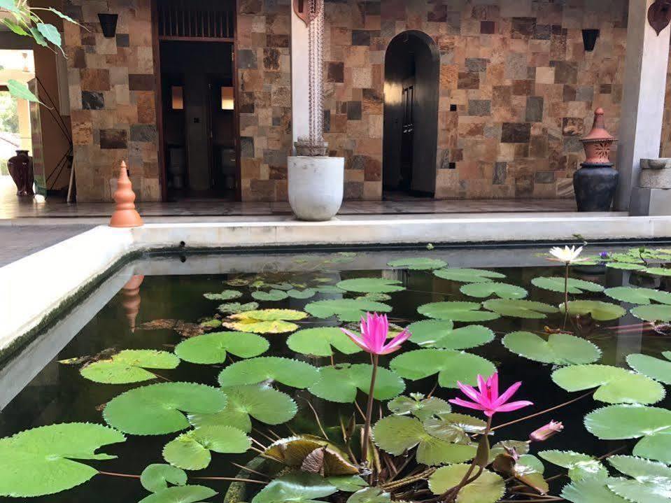 Jasmin Villa Ayurveda Resort Negombo Kültér fotó