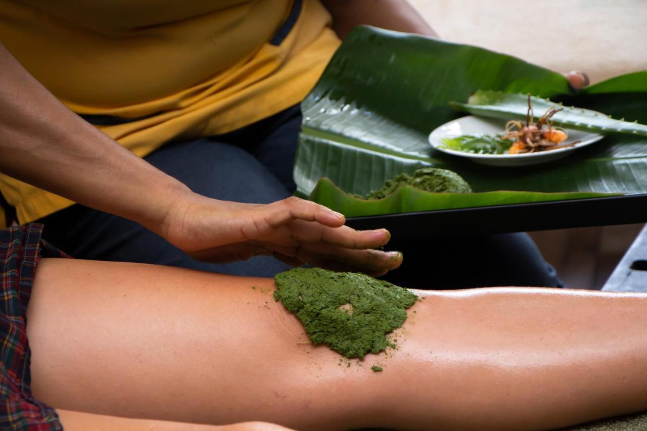 Jasmin Villa Ayurveda Resort Negombo Kültér fotó