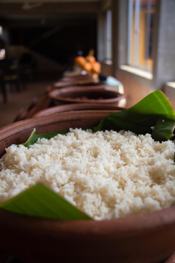 Jasmin Villa Ayurveda Resort Negombo Kültér fotó